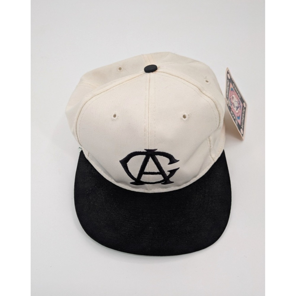 Chicago American Giants Snapback Hat Negro League American Needle Vintage Sox